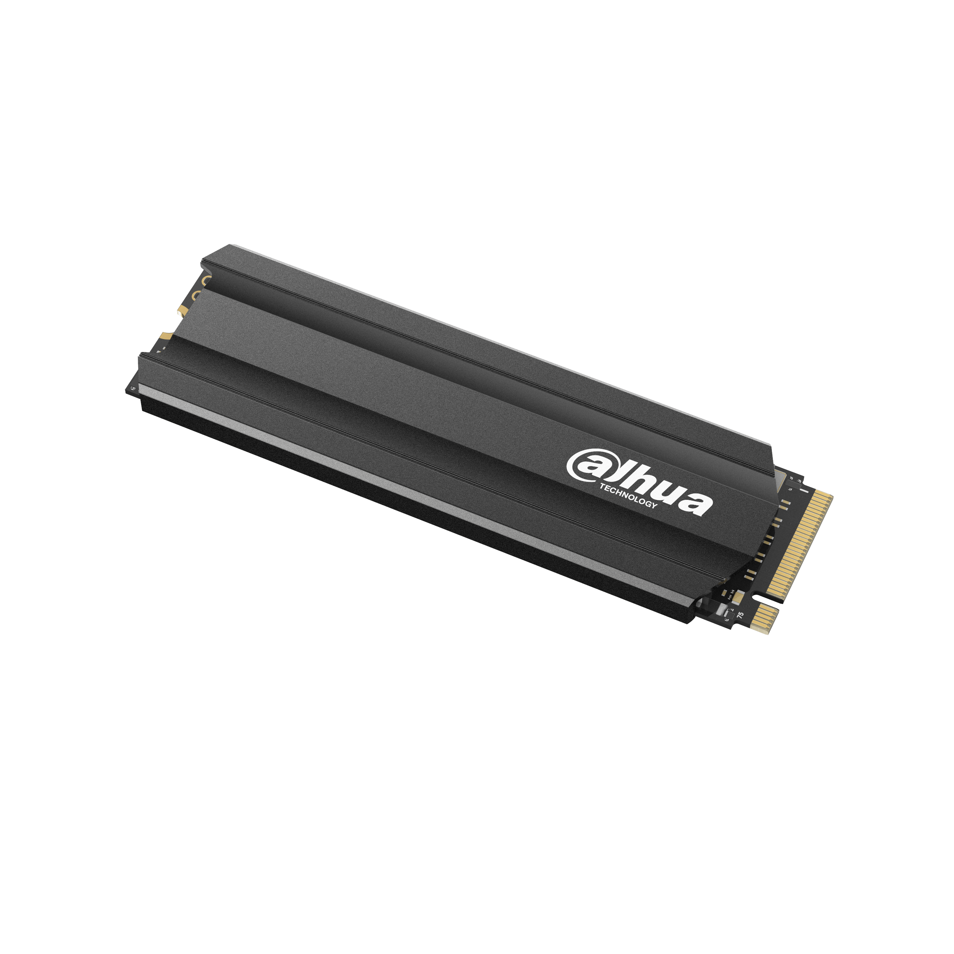 حافظه SSD DAHUA E900N 1TB NVMe M.2